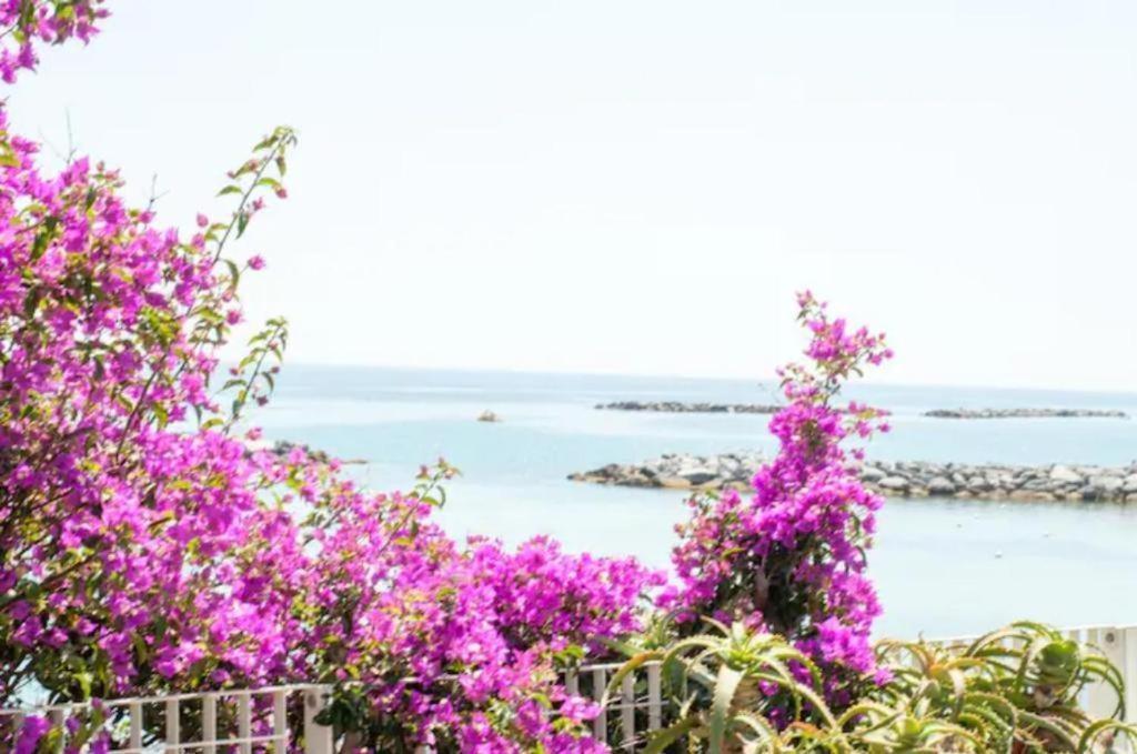 Casa Vacanza Rossella Σαν Ρέμο Εξωτερικό φωτογραφία