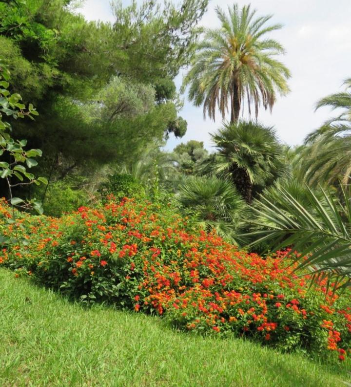 Casa Vacanza Rossella Σαν Ρέμο Εξωτερικό φωτογραφία