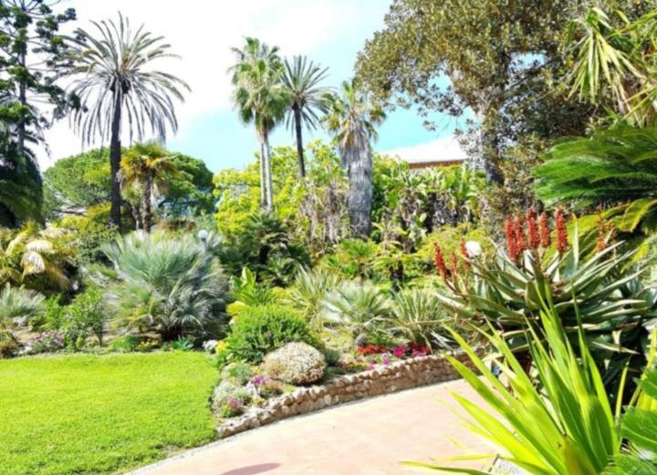 Casa Vacanza Rossella Σαν Ρέμο Εξωτερικό φωτογραφία