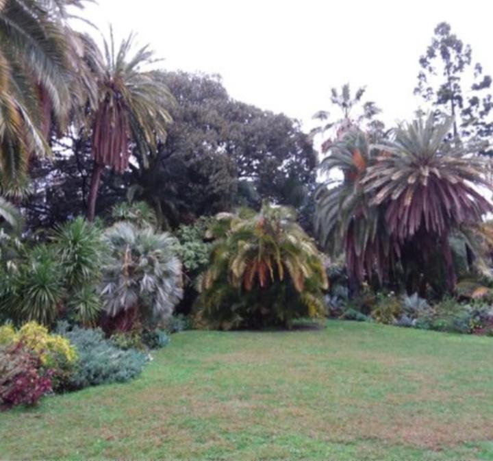 Casa Vacanza Rossella Σαν Ρέμο Εξωτερικό φωτογραφία